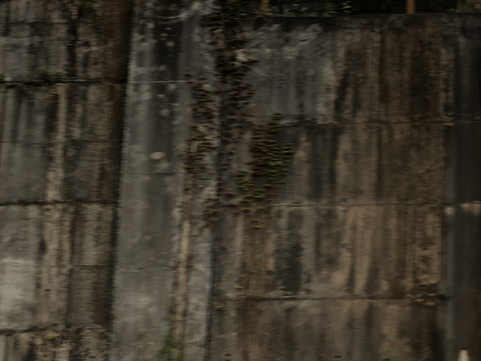 Ng Hon Lam Photography