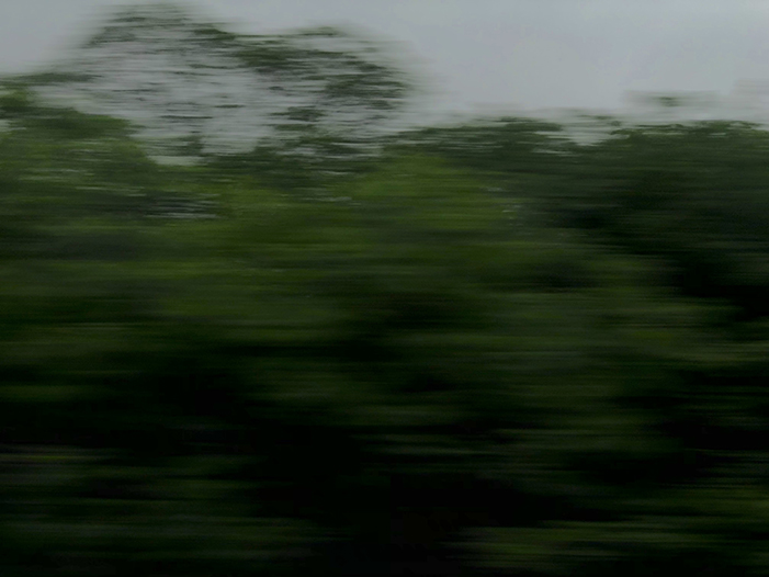 Ng Hon Lam Photography