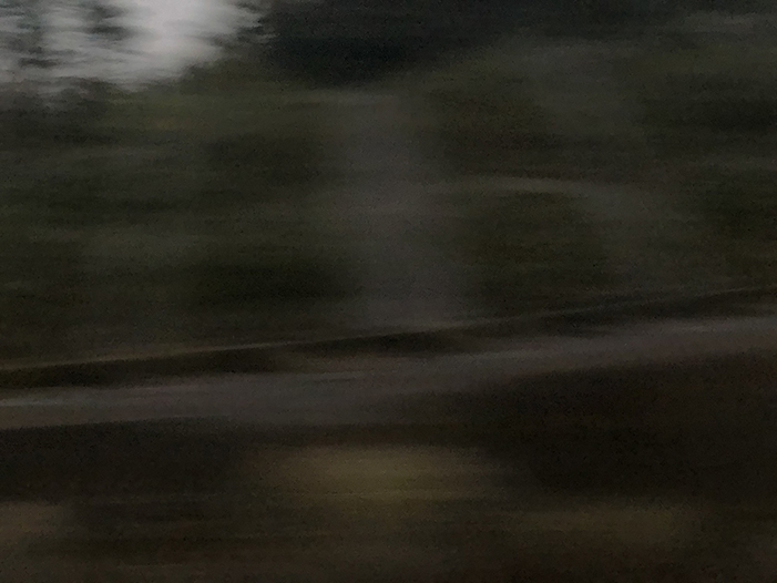 Ng Hon Lam Photography