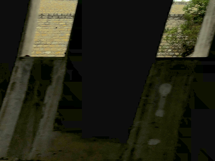 Ng Hon Lam Photography