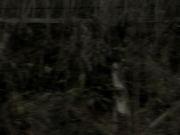 Ng Hon Lam Photography