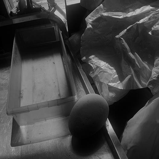 Ng Hon Lam Photography