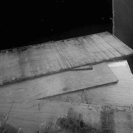 Ng Hon Lam Photography