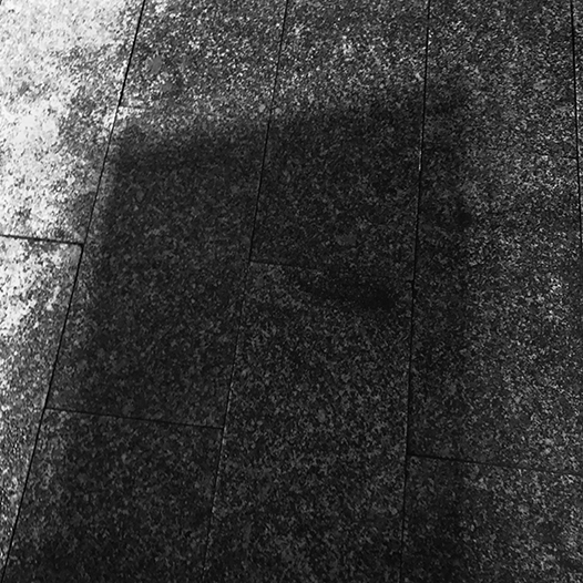 Ng Hon Lam Photography