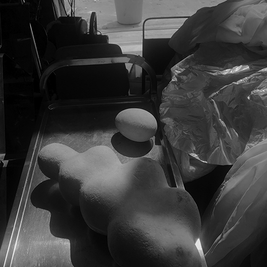 Ng Hon Lam Photography