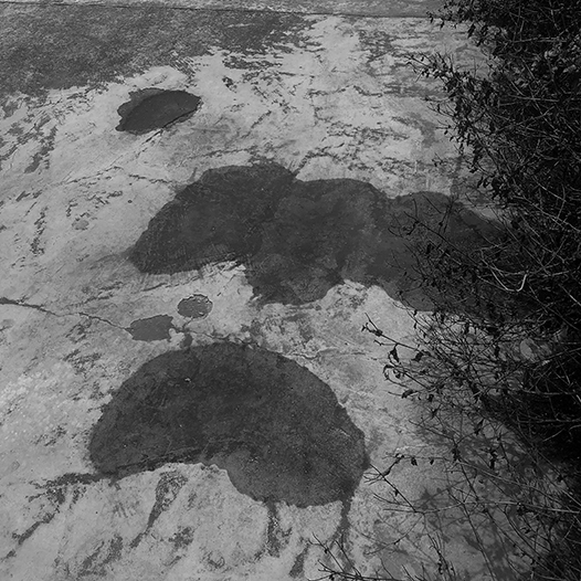 Ng Hon Lam Photography