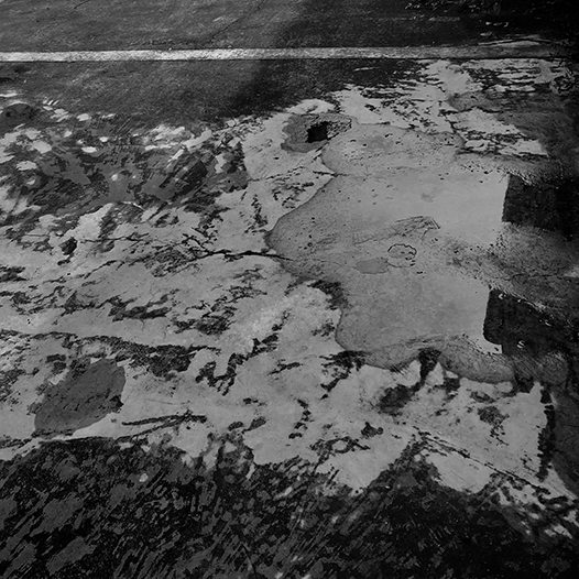 Ng Hon Lam Photography