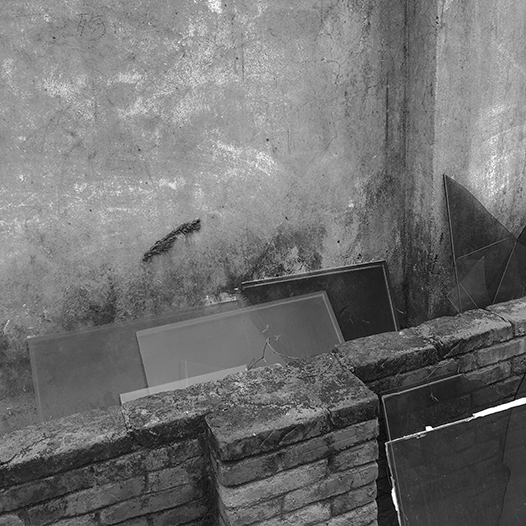 Ng Hon Lam Photography