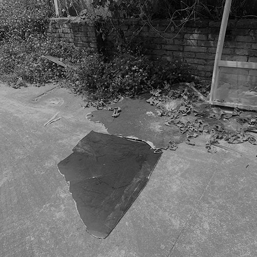 Ng Hon Lam Photography