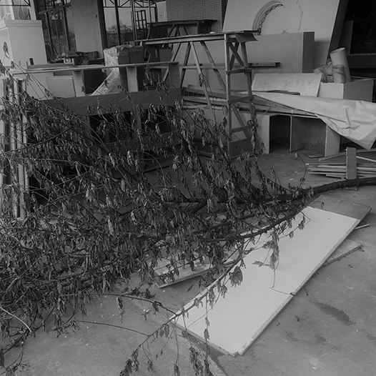 Ng Hon Lam Photography