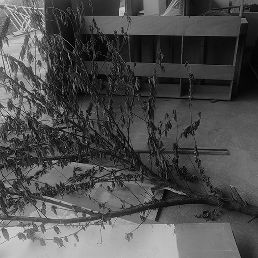 Ng Hon Lam Photography