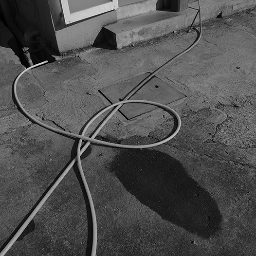 Ng Hon Lam Photography