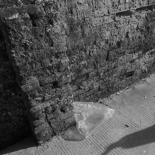 Ng Hon Lam Photography