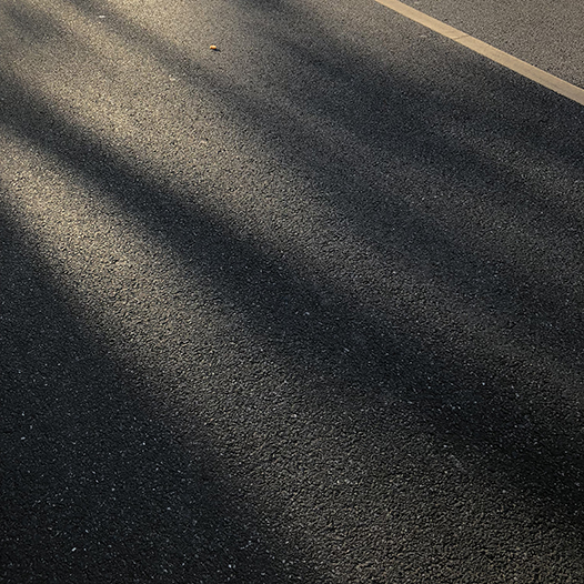 Ng Hon Lam Photography