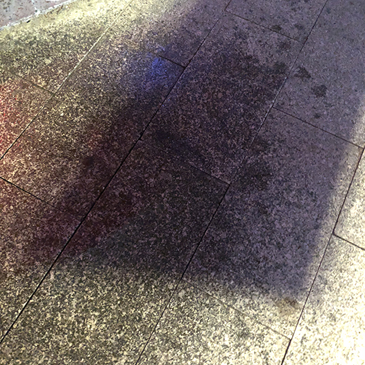 Ng Hon Lam Photography