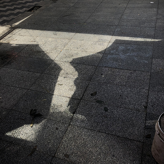 Ng Hon Lam Photography