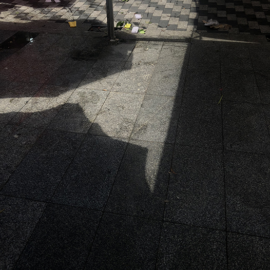 Ng Hon Lam Photography