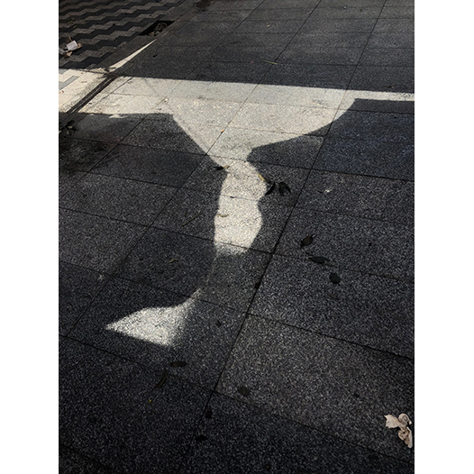 Ng Hon Lam Photography