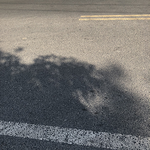 Ng Hon Lam Photography