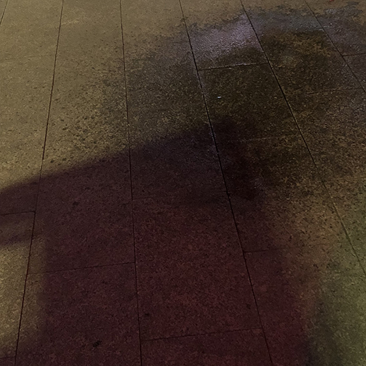 Ng Hon Lam Photography