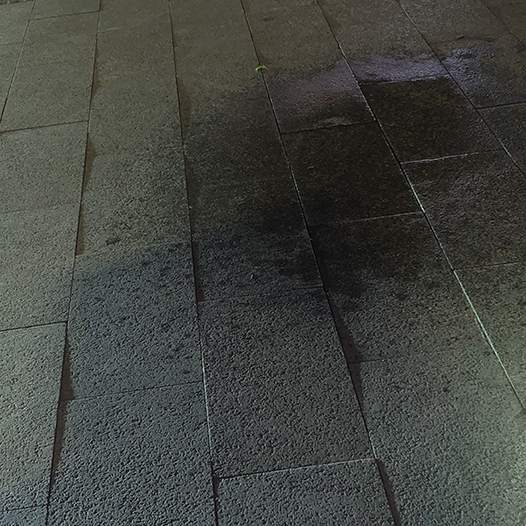 Ng Hon Lam Photography