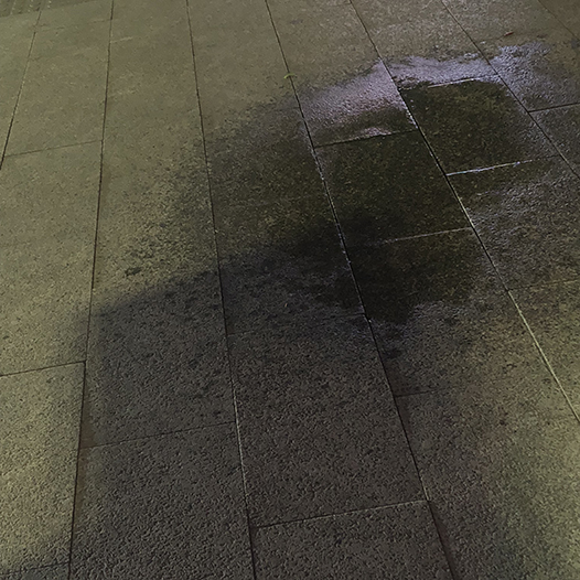 Ng Hon Lam Photography