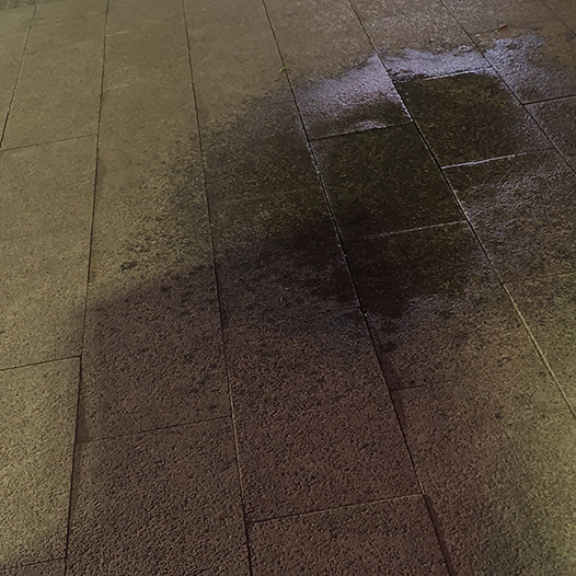 Ng Hon Lam Photography