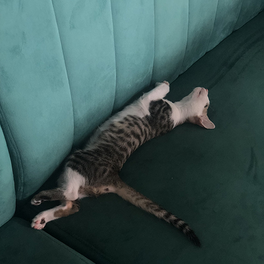 Ng Hon Lam Photography