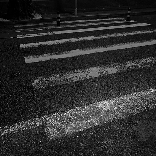 Ng Hon Lam Photography