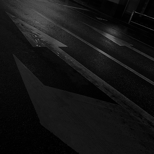 Ng Hon Lam Photography