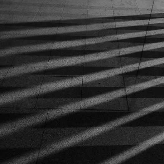 Ng Hon Lam Photography