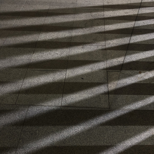 Ng Hon Lam Photography