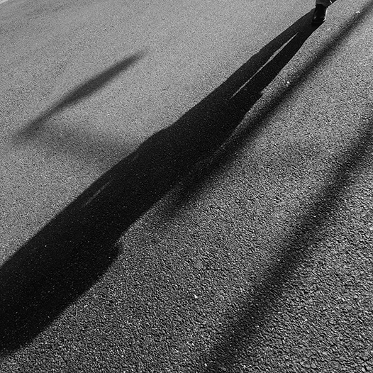 Ng Hon Lam Photography