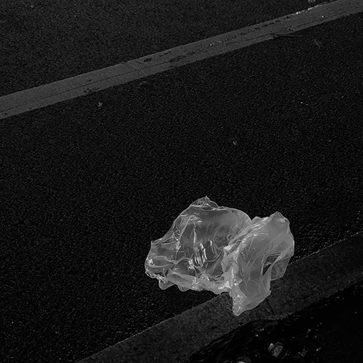 Ng Hon Lam Photography