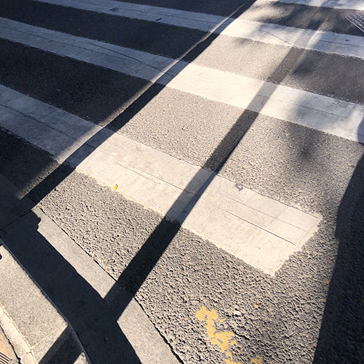 Ng Hon Lam Photography