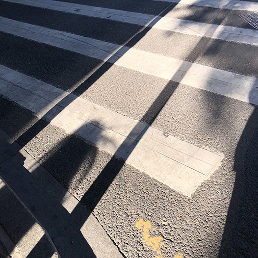 Ng Hon Lam Photography