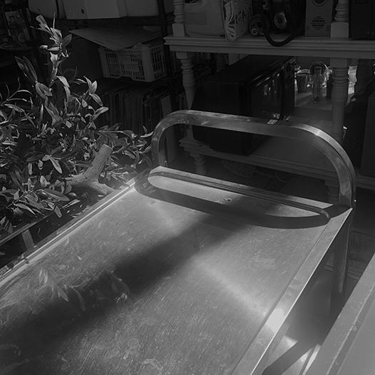 Ng Hon Lam Photography