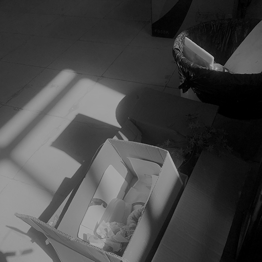 Ng Hon Lam Photography