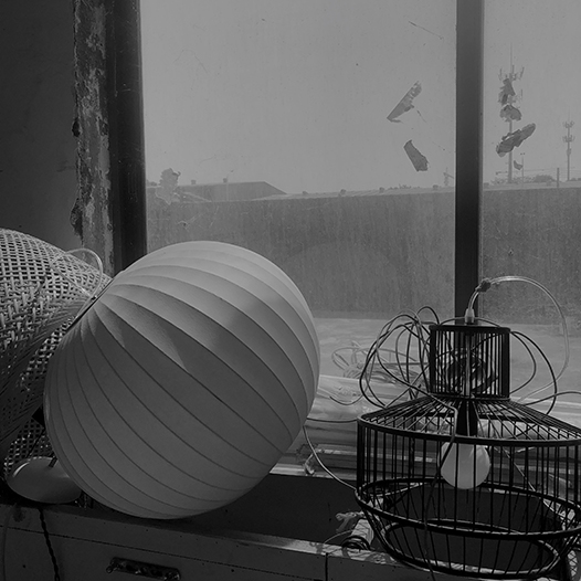 Ng Hon Lam Photography