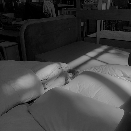 Ng Hon Lam Photography