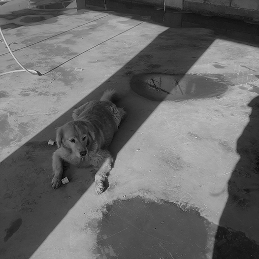 Ng Hon Lam Photography