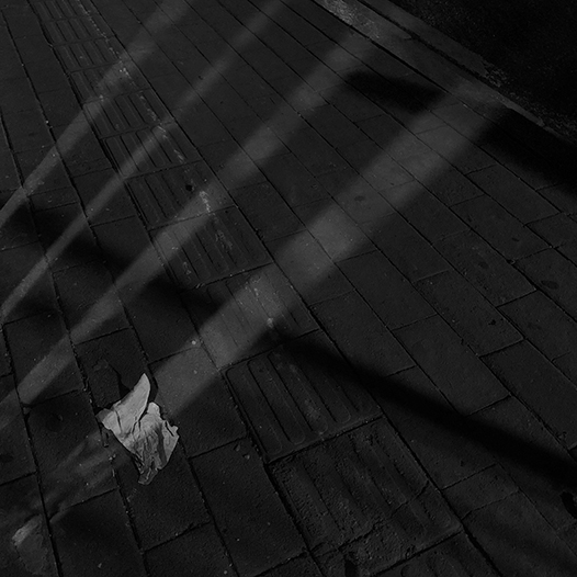 Ng Hon Lam Photography