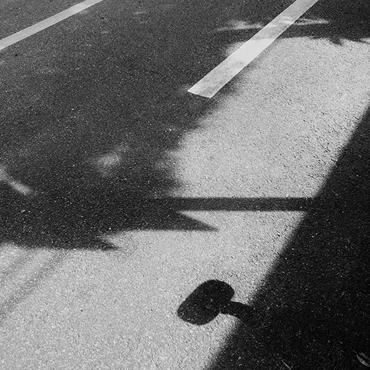 Ng Hon Lam Photography