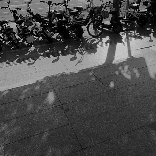 Ng Hon Lam Photography