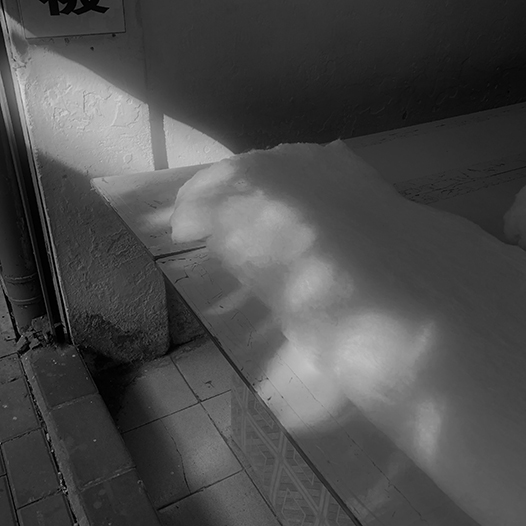 Ng Hon Lam Photography