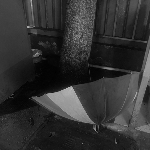 Ng Hon Lam Photography