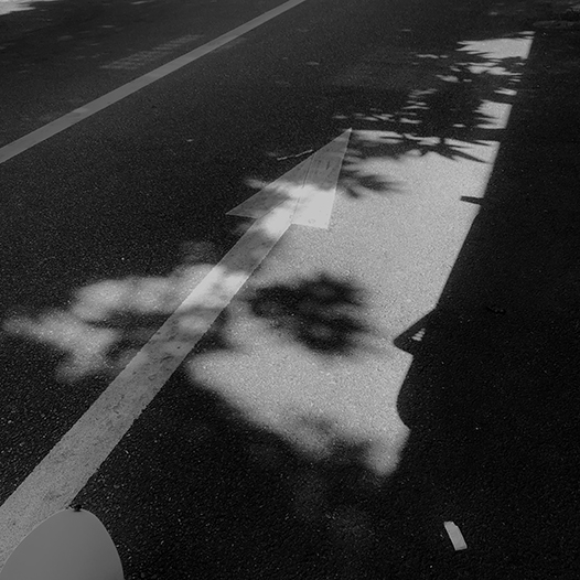 Ng Hon Lam Photography