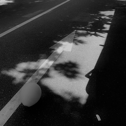 Ng Hon Lam Photography