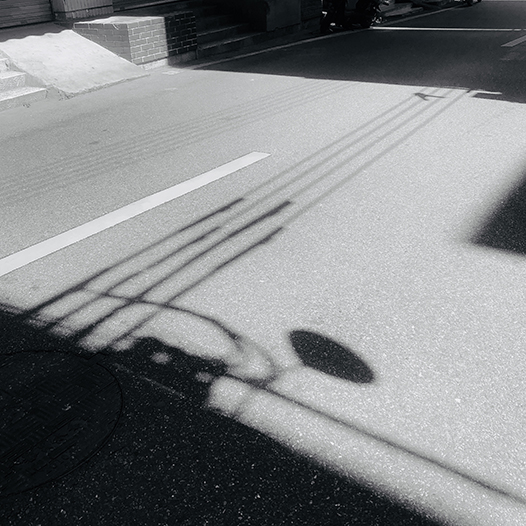 Ng Hon Lam Photography