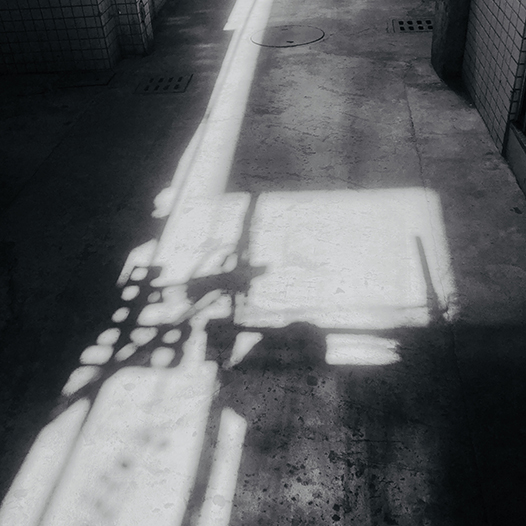 Ng Hon Lam Photography